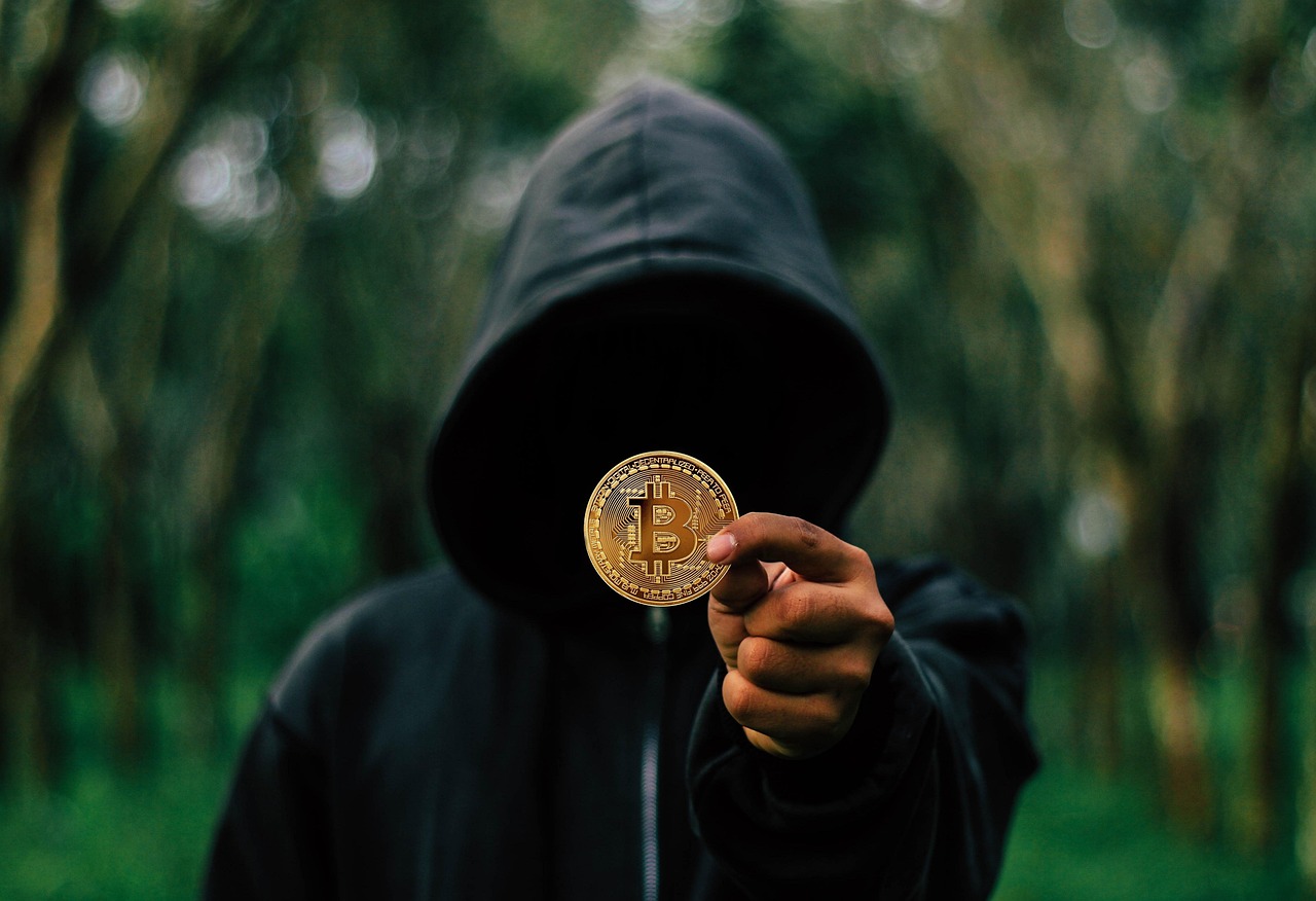 Free Bitcoin Coin photo and picture