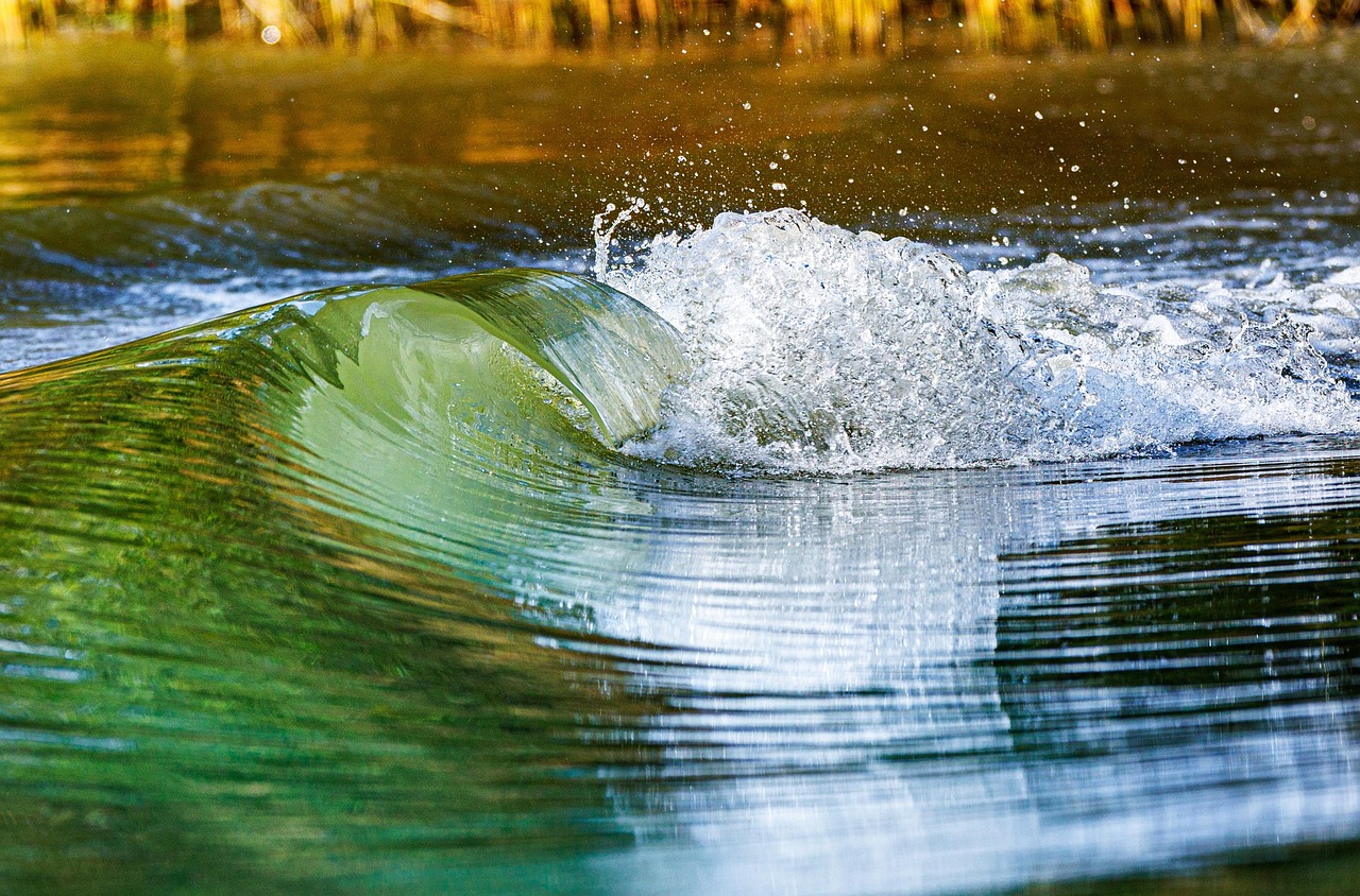 Free Danube River Wave photo and picture