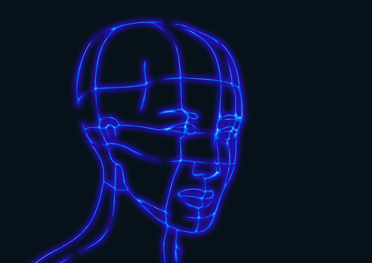 Free head wireframe graphics model illustration
