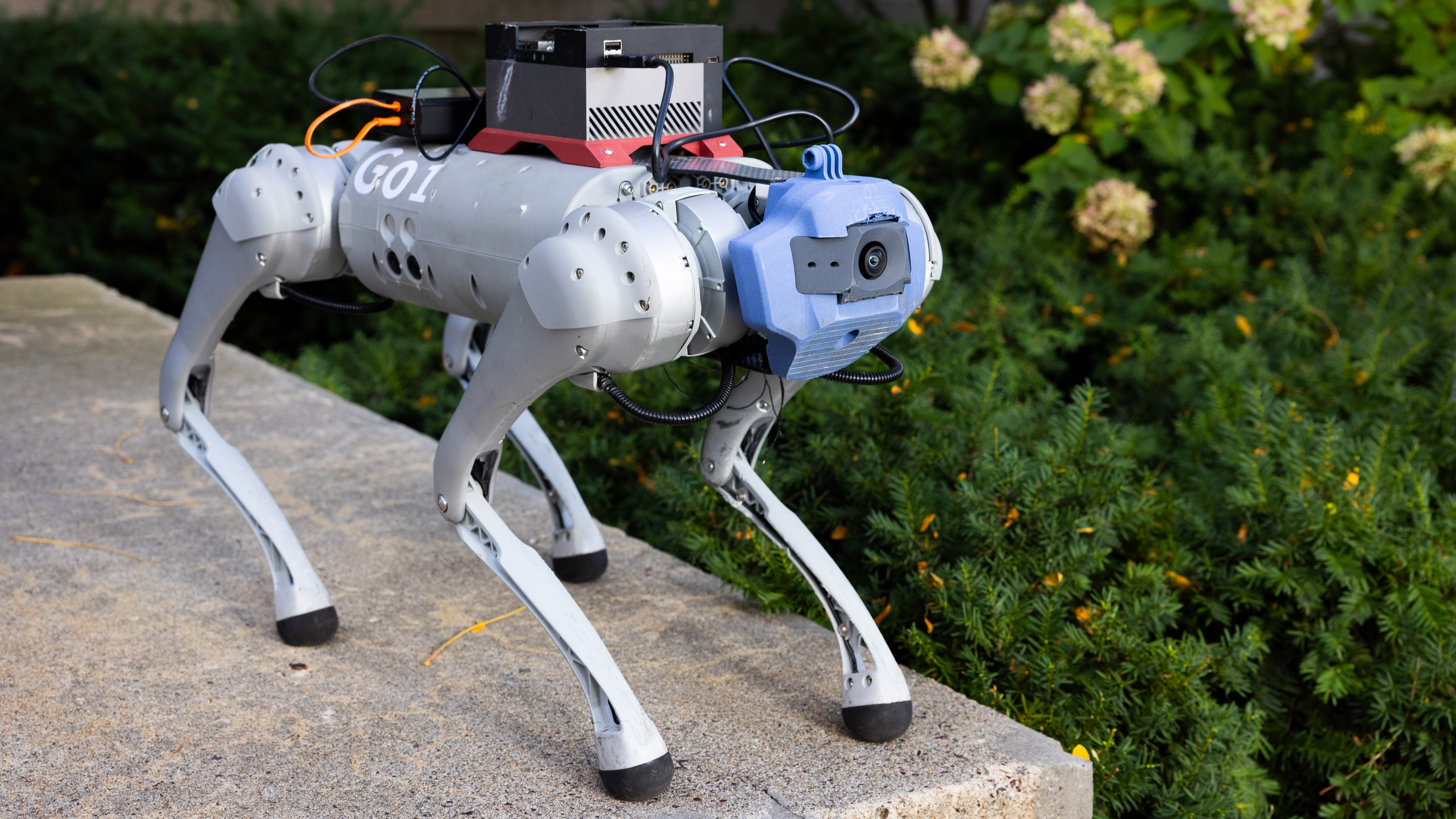 robot dog standing on a concrete wall