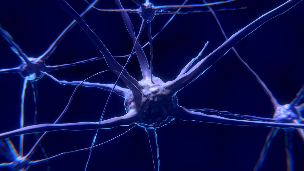 Free nerve cells neurons nervous system illustration