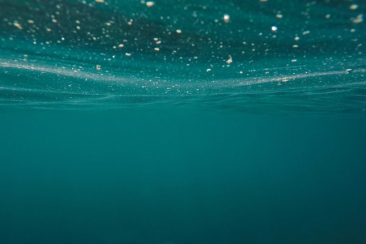 Free Ocean Sea photo and picture