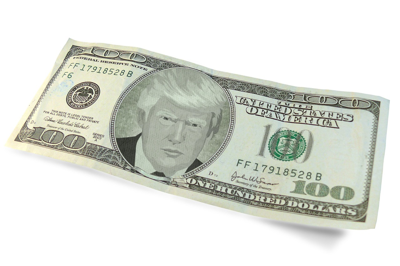 Free Trump Dollar photo and picture